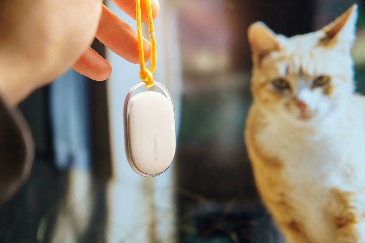 Vet Advice Monitoring Tools showing a digital log of a dog's daily sodium intake and hydration levels