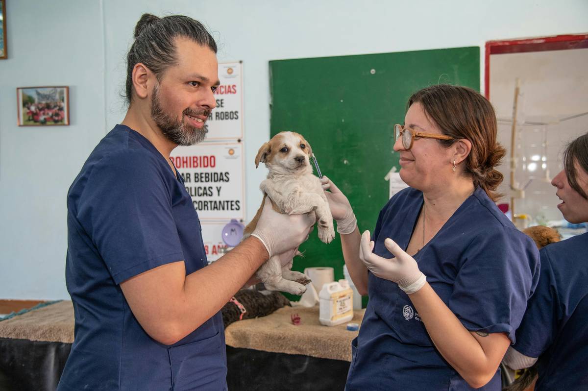 Vet Advice Monitoring Tools: 7 Proven Ways to Avoid Costly Sodium Supplement Mistakes