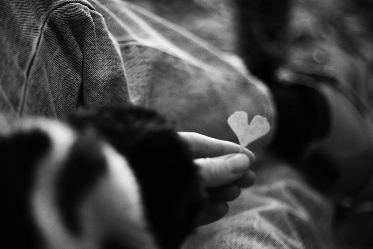 Heart Health Communication Plans: 7 Proven Ways to Avoid Costly Pet Supplement Mistakes