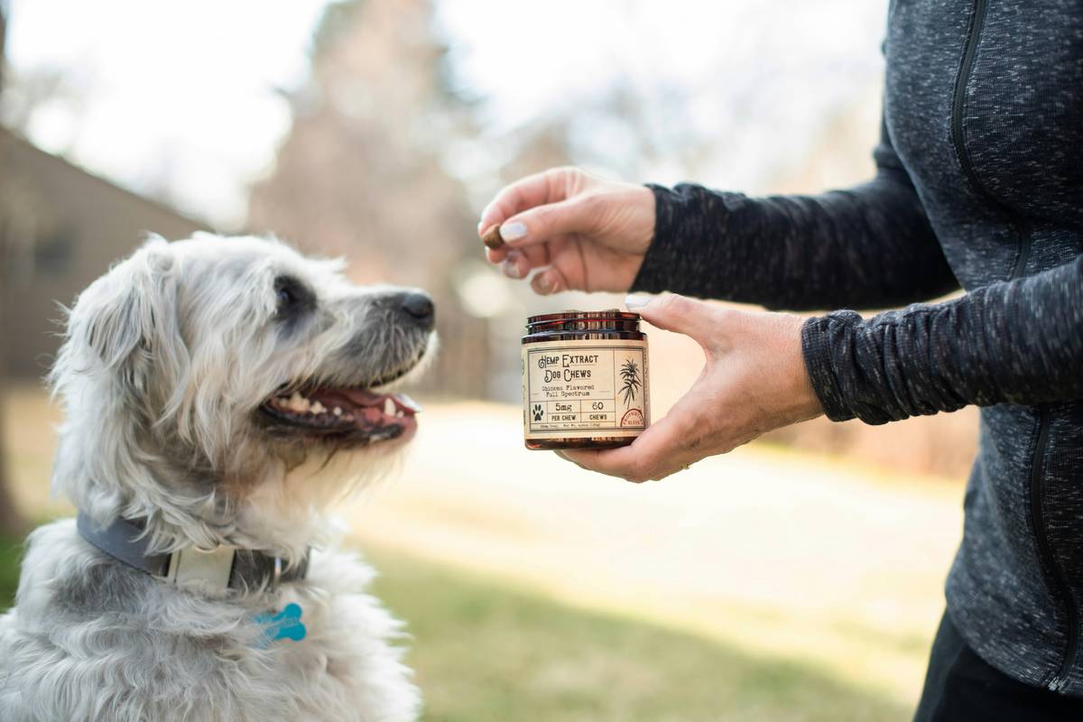 Sodium Communication Plans: 7 Proven Ways to Avoid Costly Hydration Mistakes in Pet Supplements