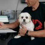 Vet Advice Risk Assessments: 7 Proven Steps to Avoid Dangerous Sodium Supplement Mistakes