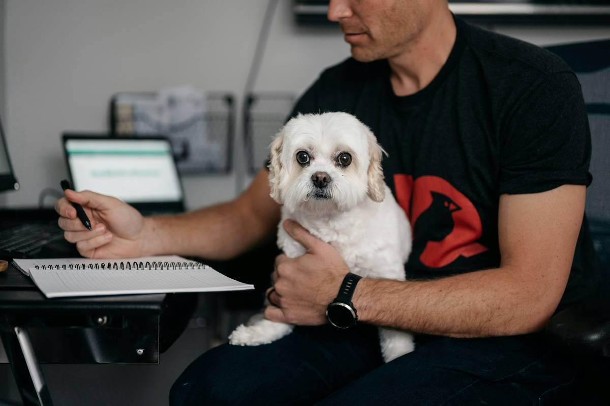 Vet Advice Risk Assessments: 7 Proven Steps to Avoid Dangerous Sodium Supplement Mistakes